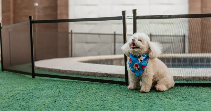 Cerca removível Pet